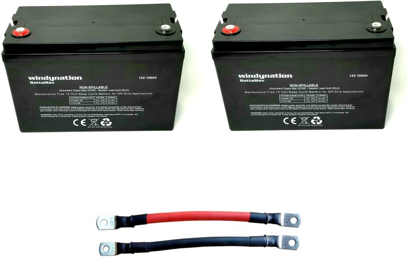 WindyNation Deep Cycle Sealed Lead Acid Battery