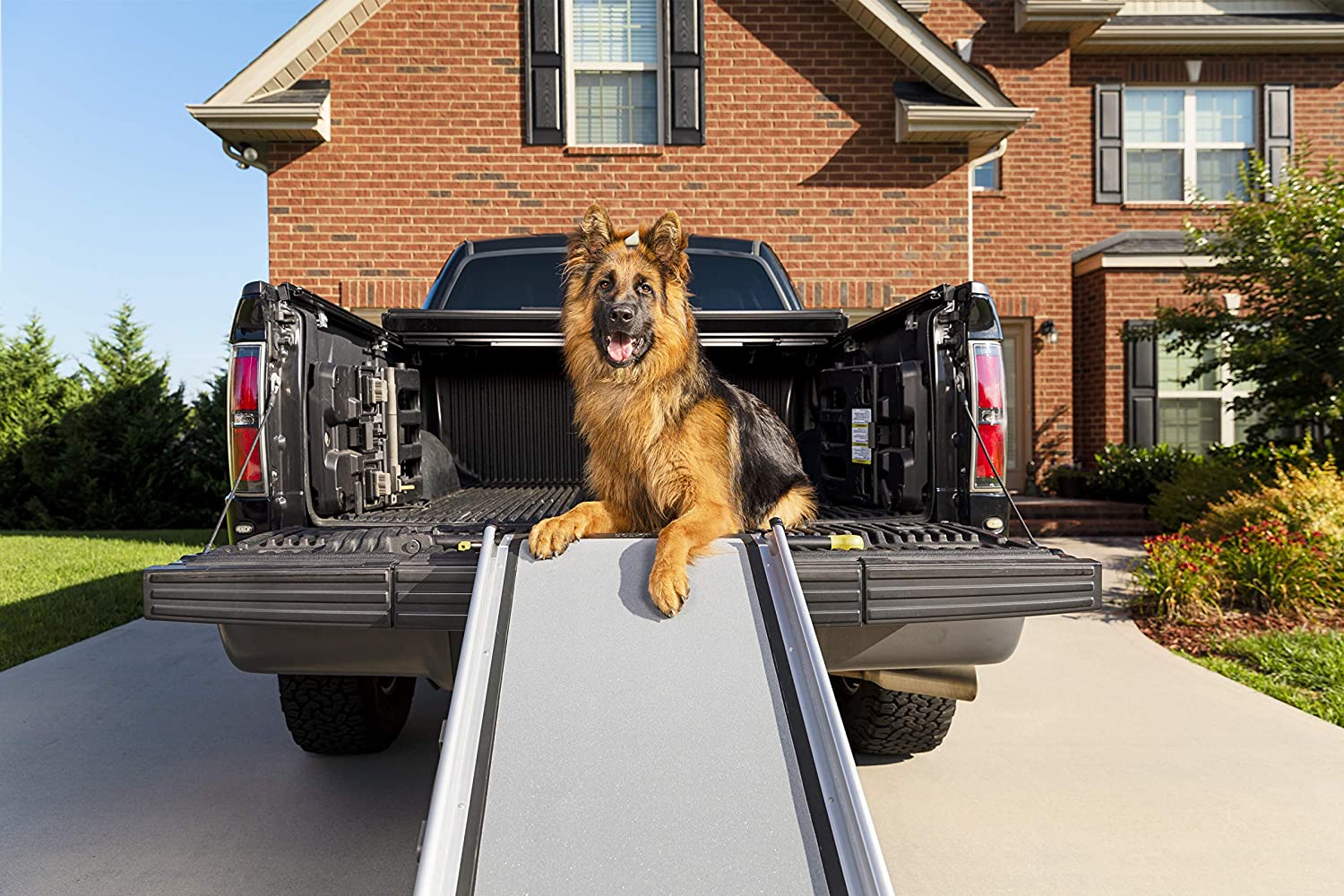 PetSafe Deluxe Extra-Long Telescoping Pet Ramp