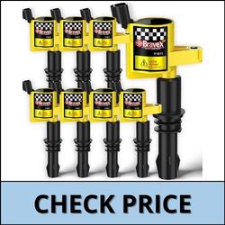 Bravex B1011-BX-UP Coil Pack