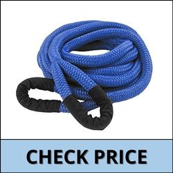 DitchPig 447521 Kinetic Energy Vehicle Strap