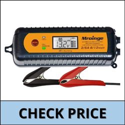 5-Amp Fully Automatic Battery Desulfator by Mroinge