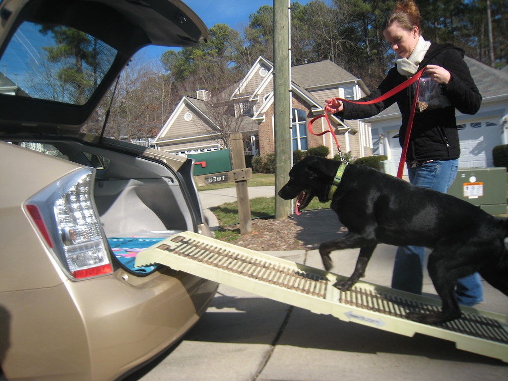 How To Build Adjustable Dog Ramp?